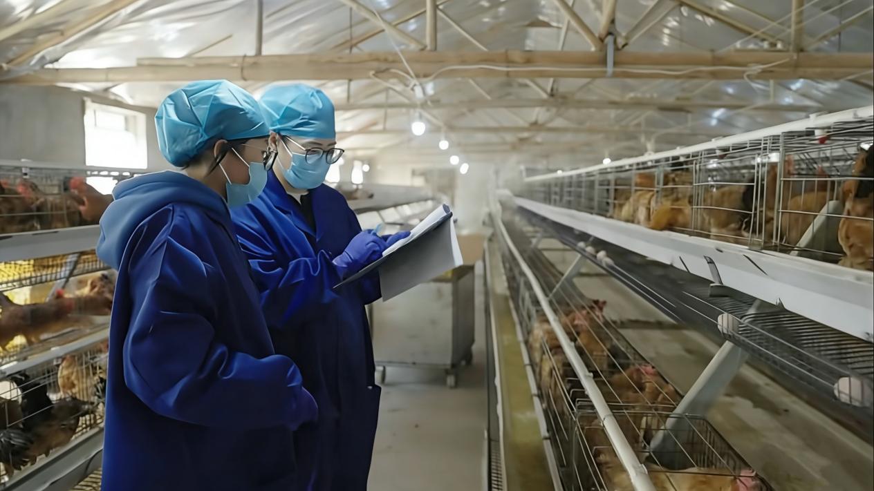 cacf30c7e6d796bf72c1c60dc6e6ea72