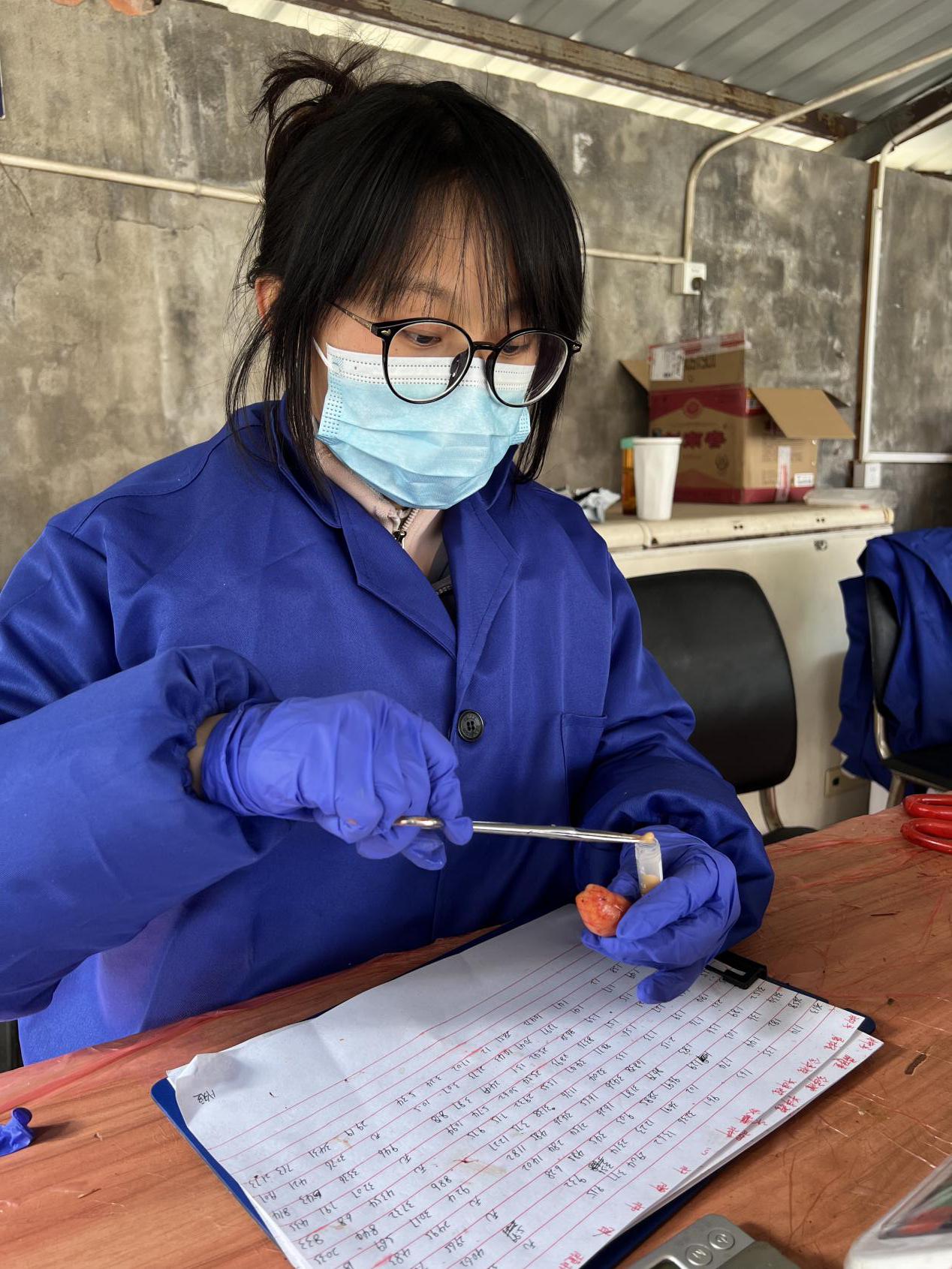 3ff79cd4314d716afb3b3fd9d9a2c3f7