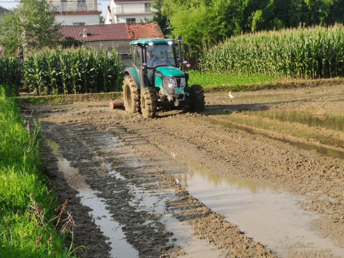 bf2752092caa28922235af686e551496