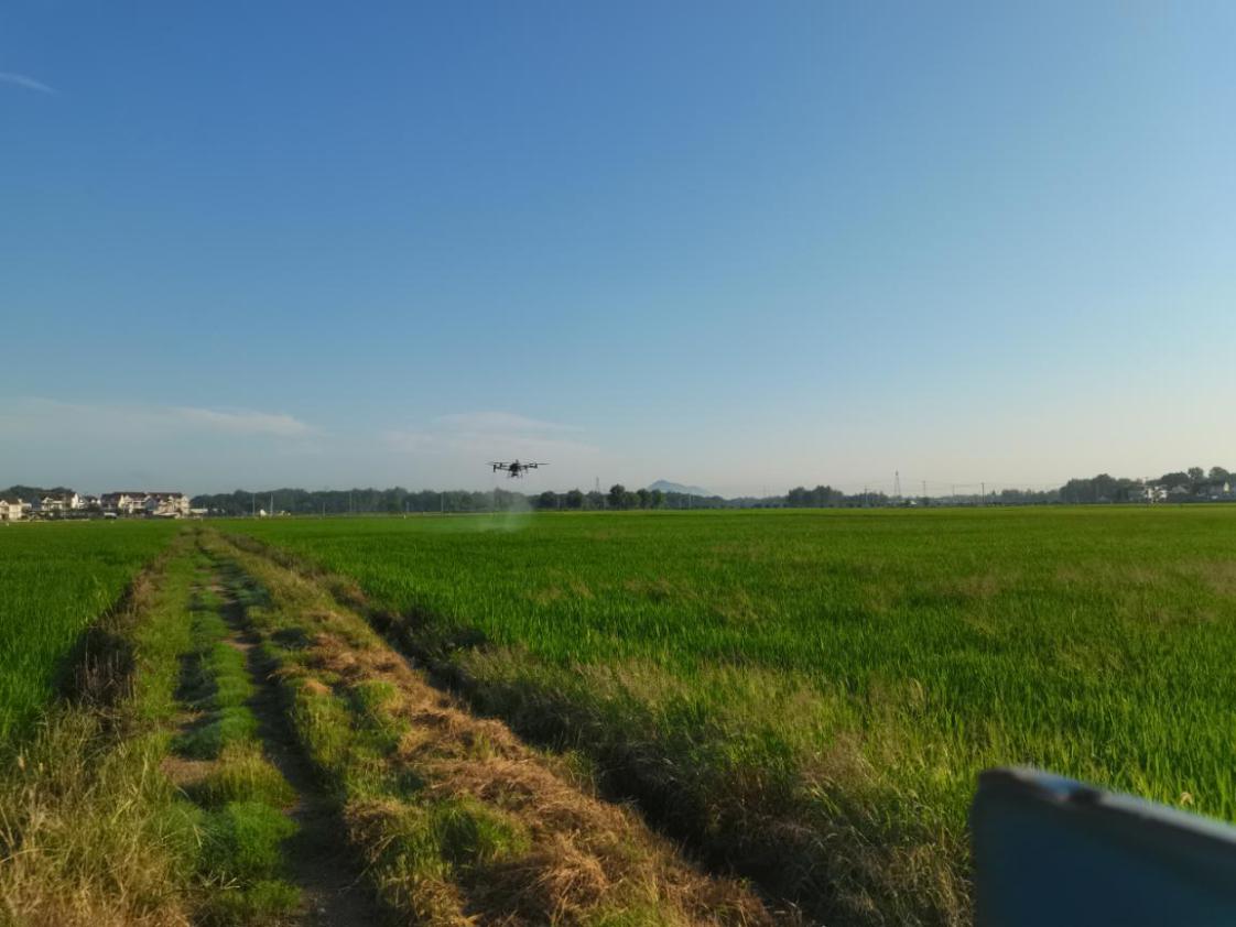 0b198e63a5c0010ae8fc72701cbde60a