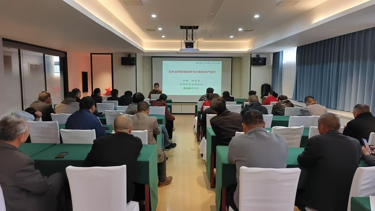 56cb3106c3daca6282e07d909333331c