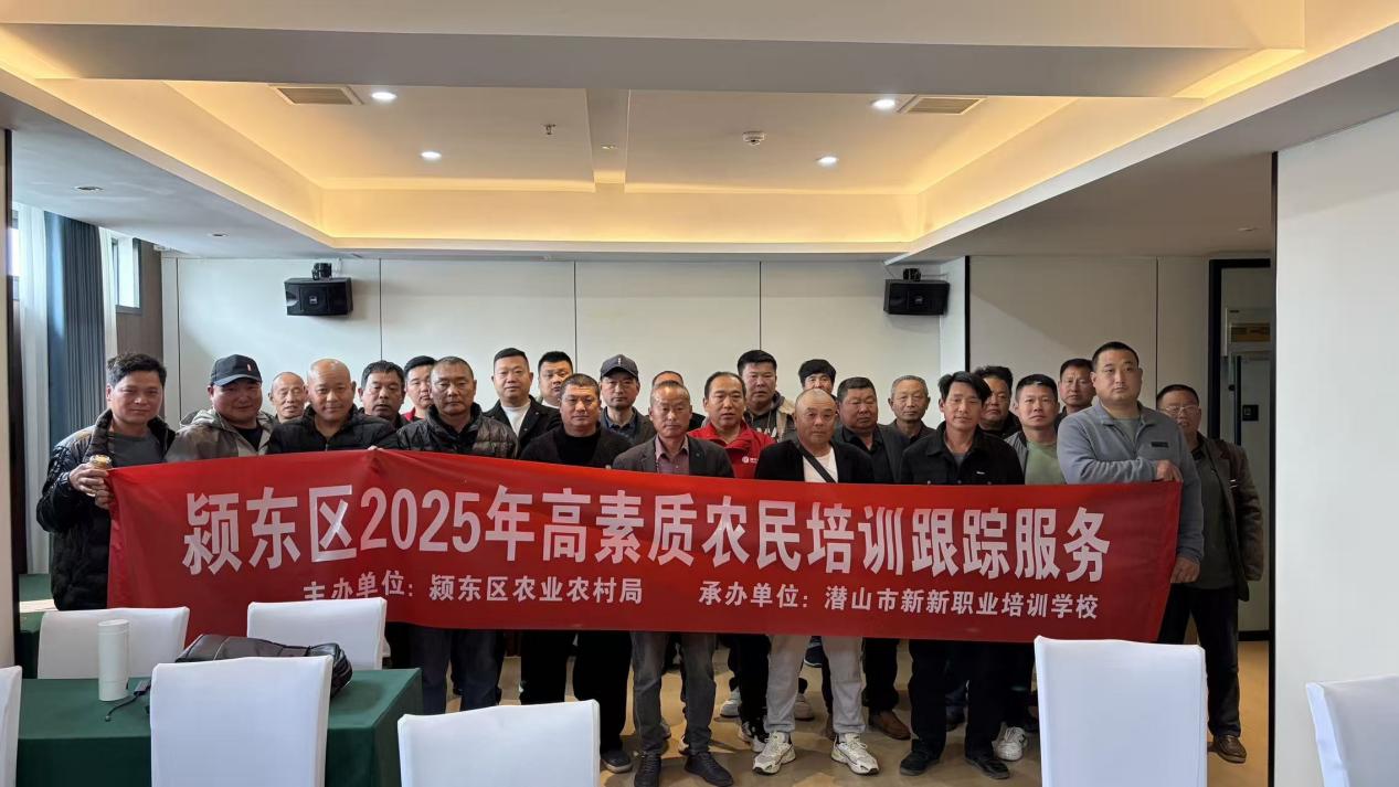 51ff175ff9f67a4fb60259ed107eeba1