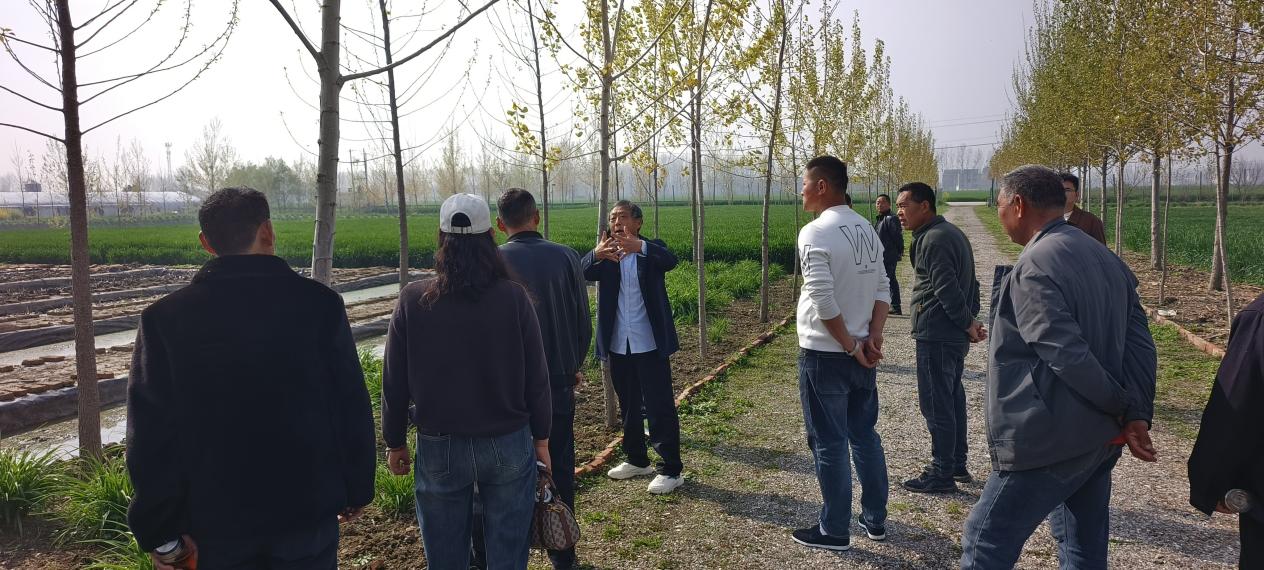 966a64f0bc01ec721b125924ae98ede