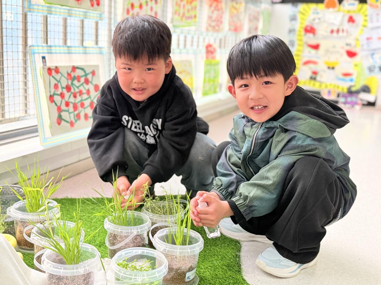 2940934fcb840cadd64cfd063e3ad4f5