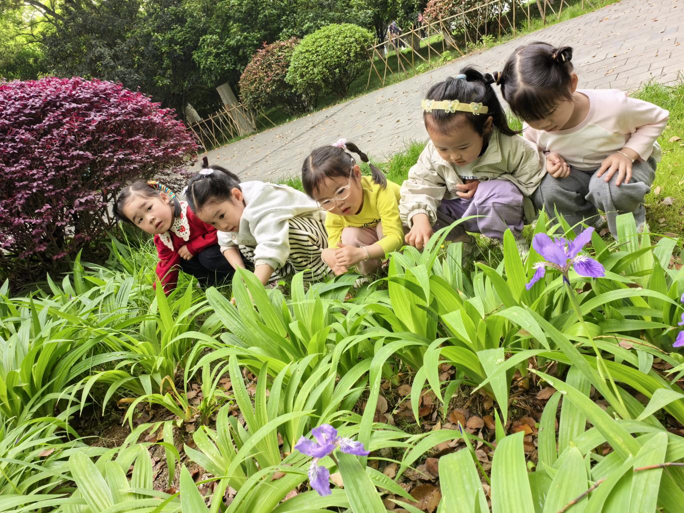 26987c31f548701158b837d529507efd