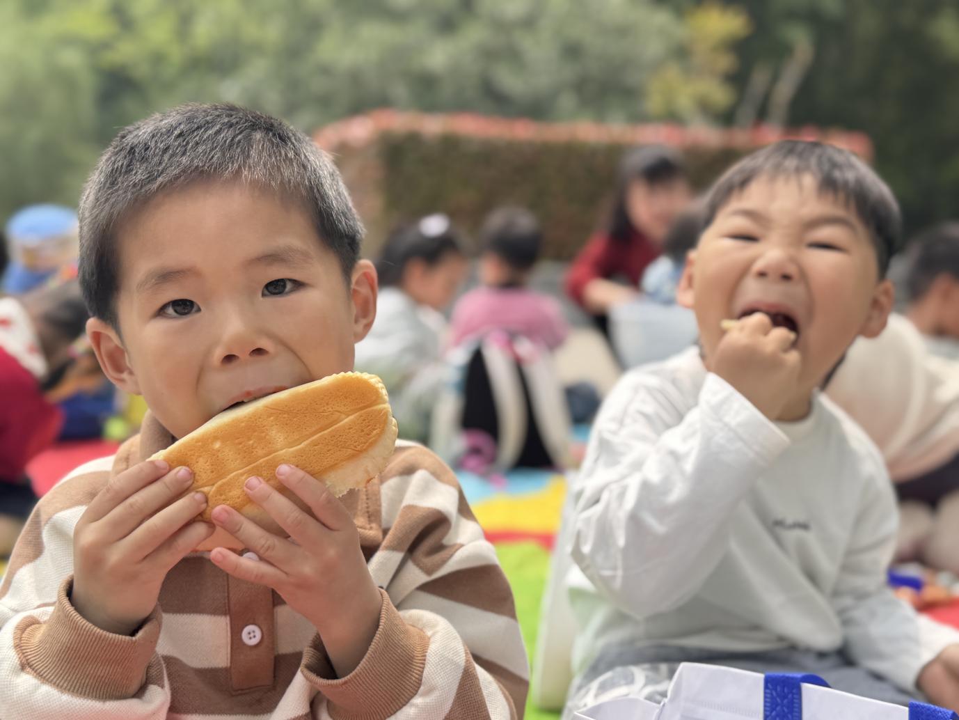 fff1691d94f0d1f534632f1a2595a4a4