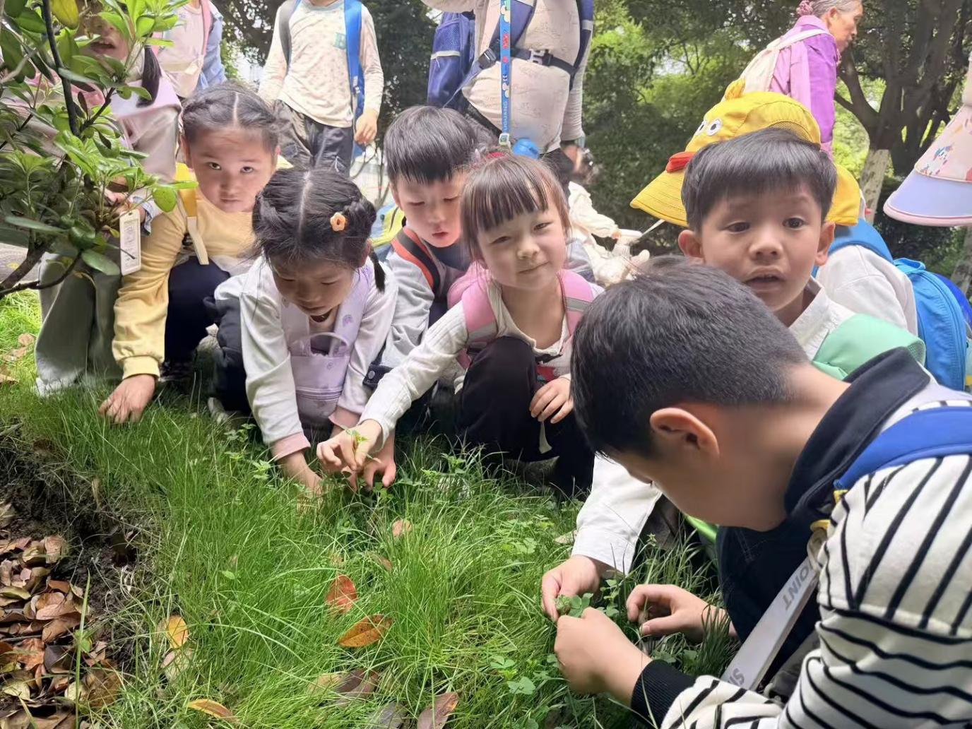 336dbea4121d0f2014d2b0469c9826d7