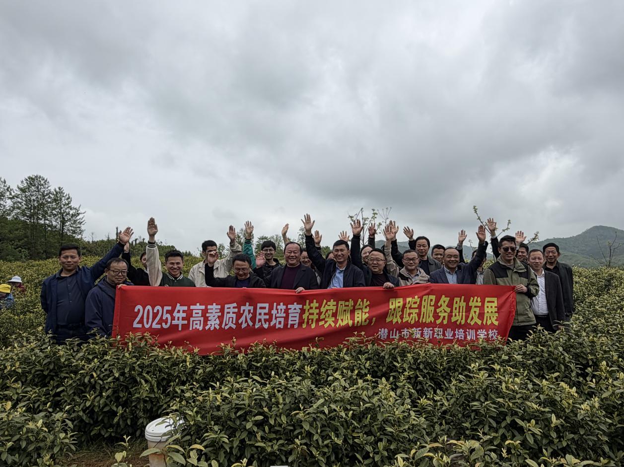 185027f933b52aa31ae4a8c6b0cff80