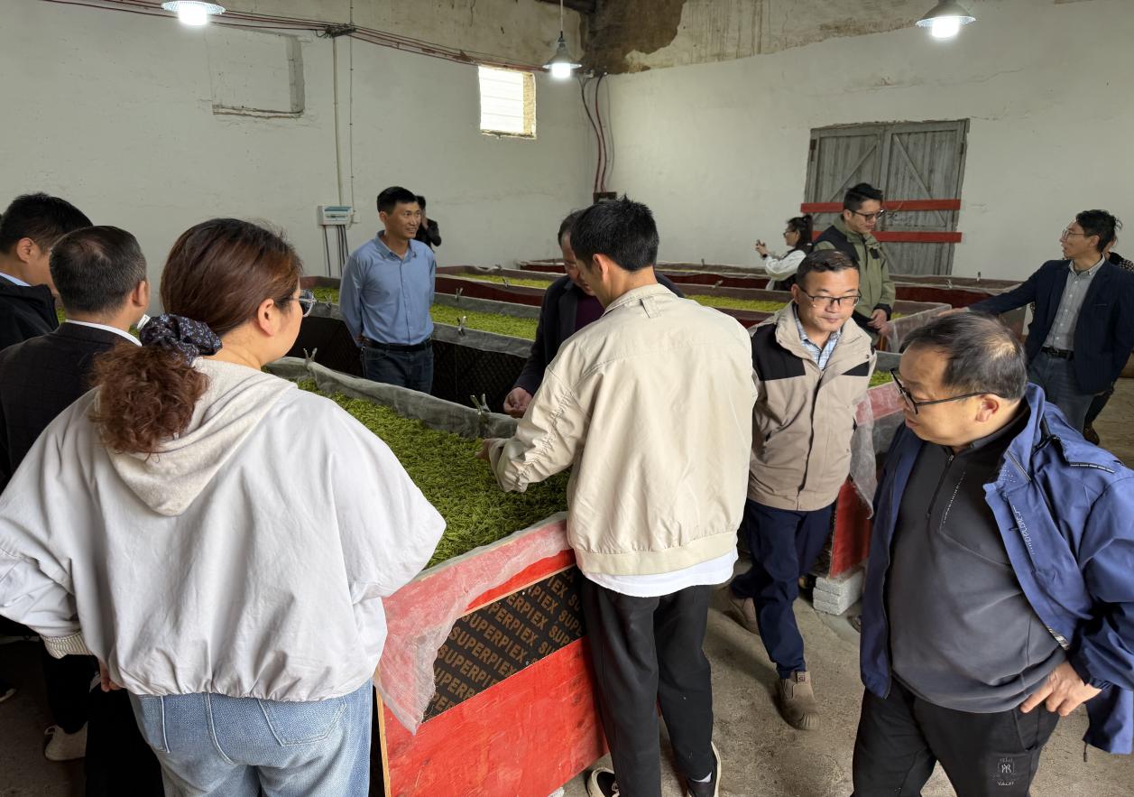 186b472678c20733d2542243f795597