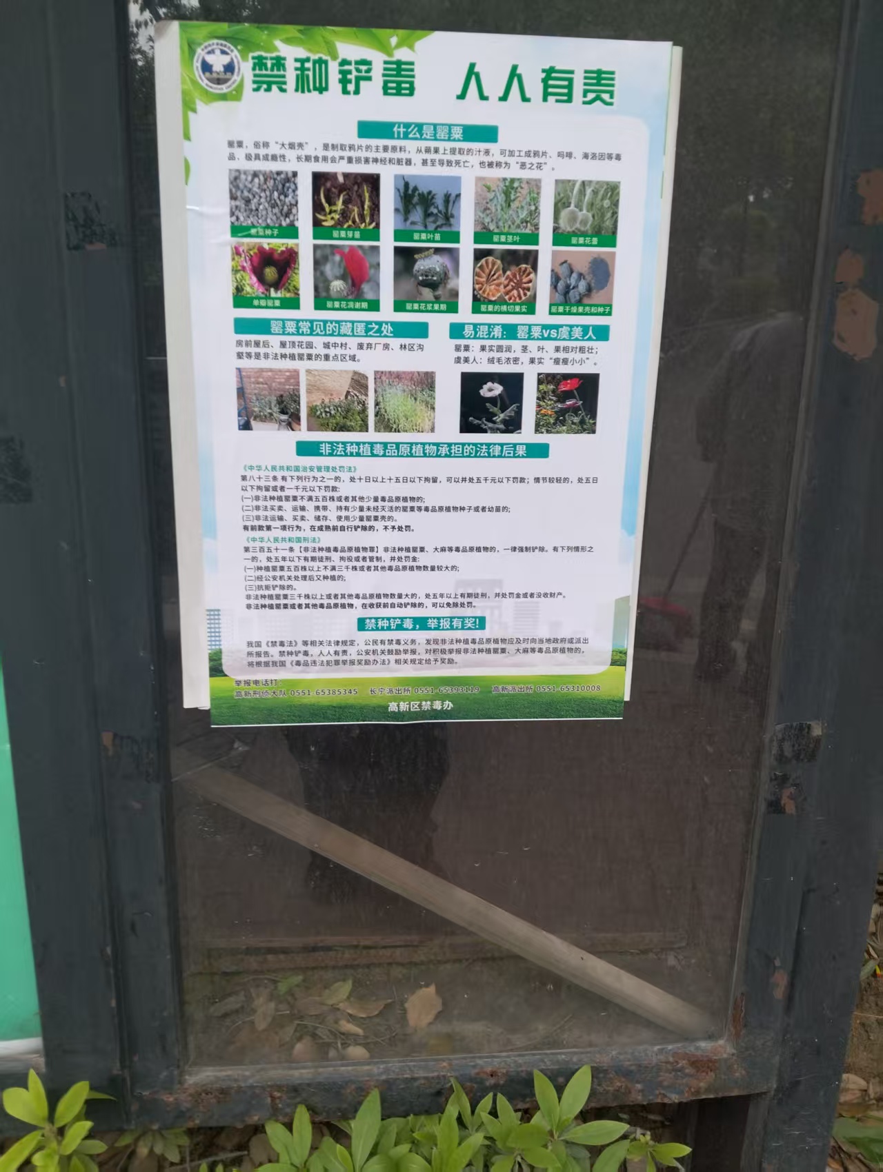 e0b572566d0581cda47271d6861bd4d