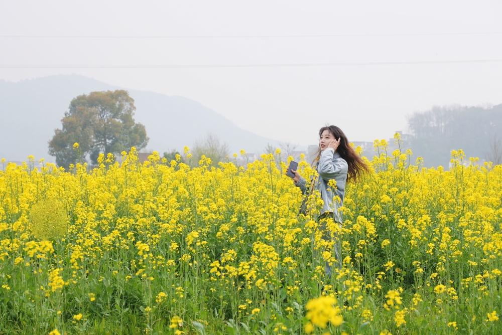 　3月21日，油菜花盛放的响水涧总是格外热闹，大批游人自四面八方赶赴油菜花海之约.jpg
