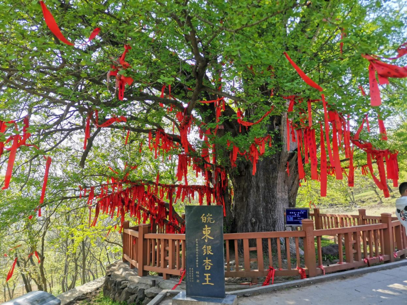 　3月20日，参加“相约安徽·向春而行”活动的媒体记者走进滁州，游览滁州江淮分水岭风景道——来安段；登琅琊山，领略当年欧阳修《醉翁亭记》里的琅琊之美.jpg