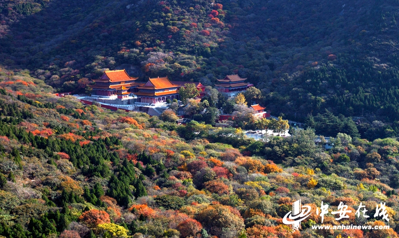 3月30日，淮北市相山风景区内，树木参天，绿意盎然。不少市民带着老人、孩子在园内悠闲漫步享受周末时光。.jpg