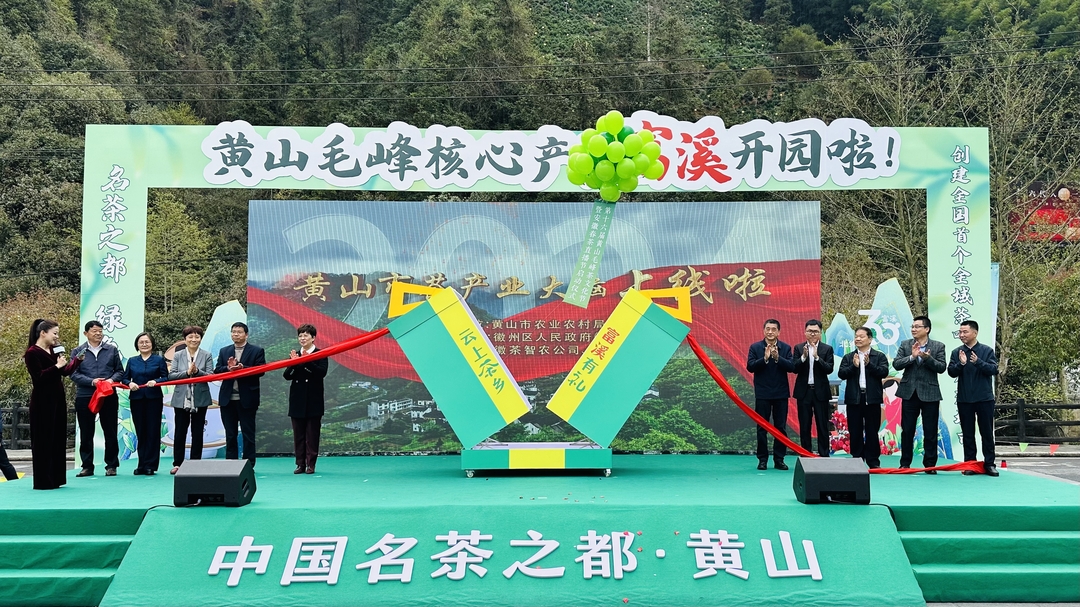 黄山毛峰茶开园仪式_结果