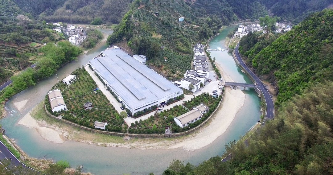 老谢家茶黄山毛峰生产基地照片_结果