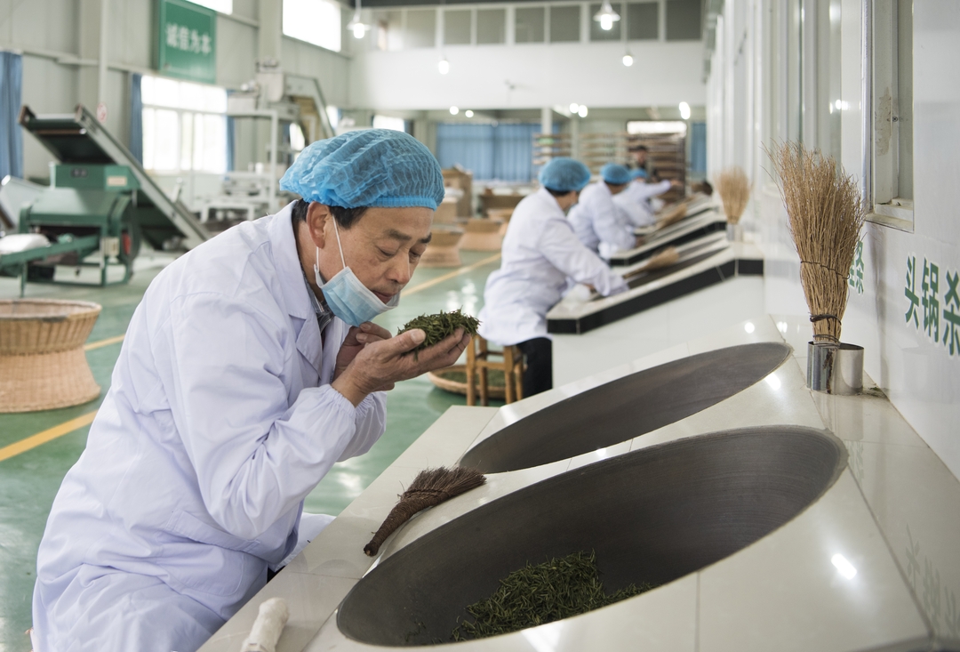 省级非遗传承人刘会根手工制茶_结果