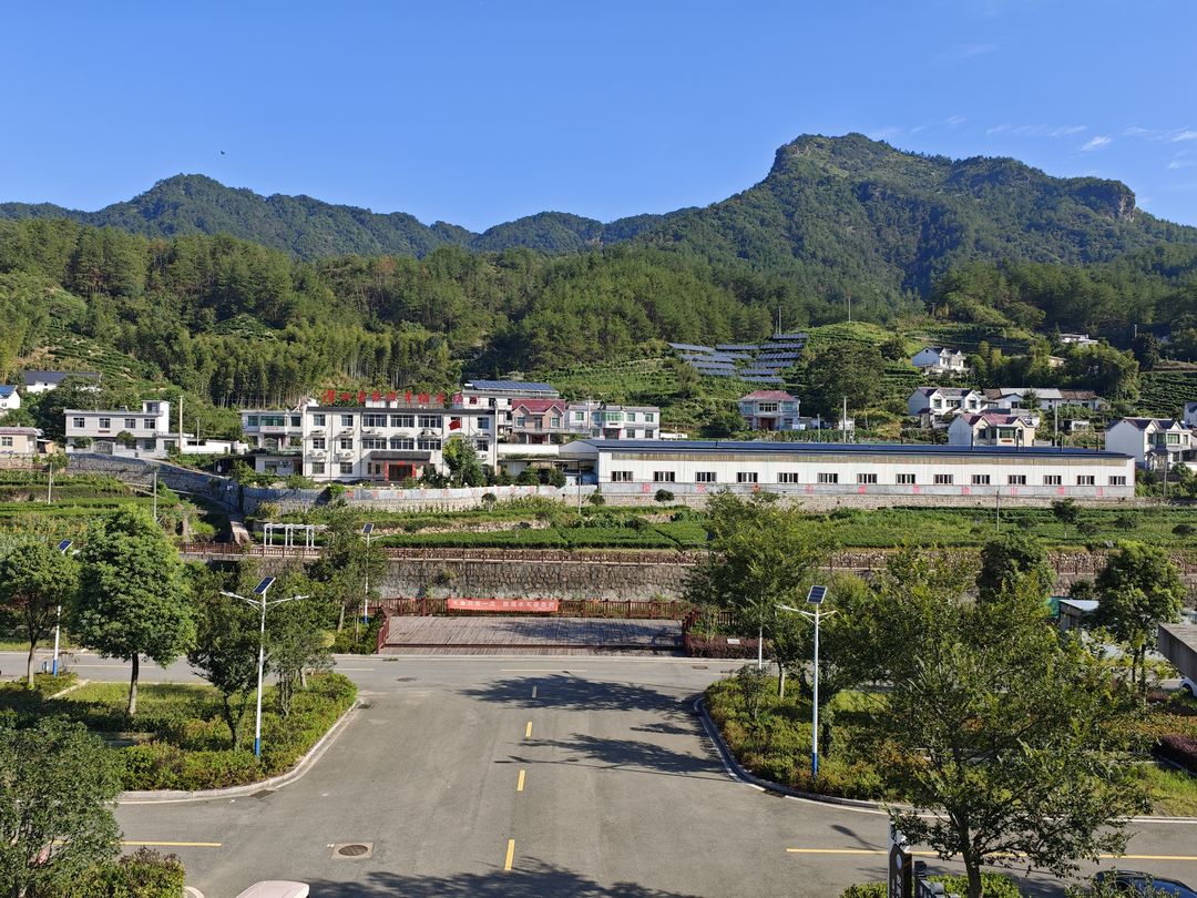 2025.8.20潜山彭河幸福茶场新区_结果