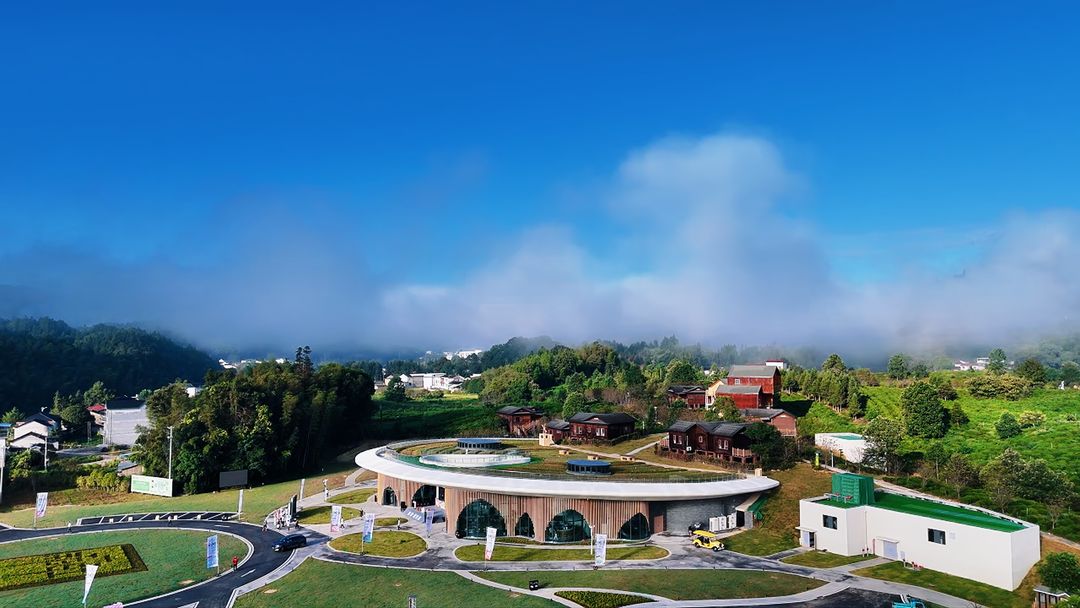 祁门红茶集团的祁驿·群芳最_结果