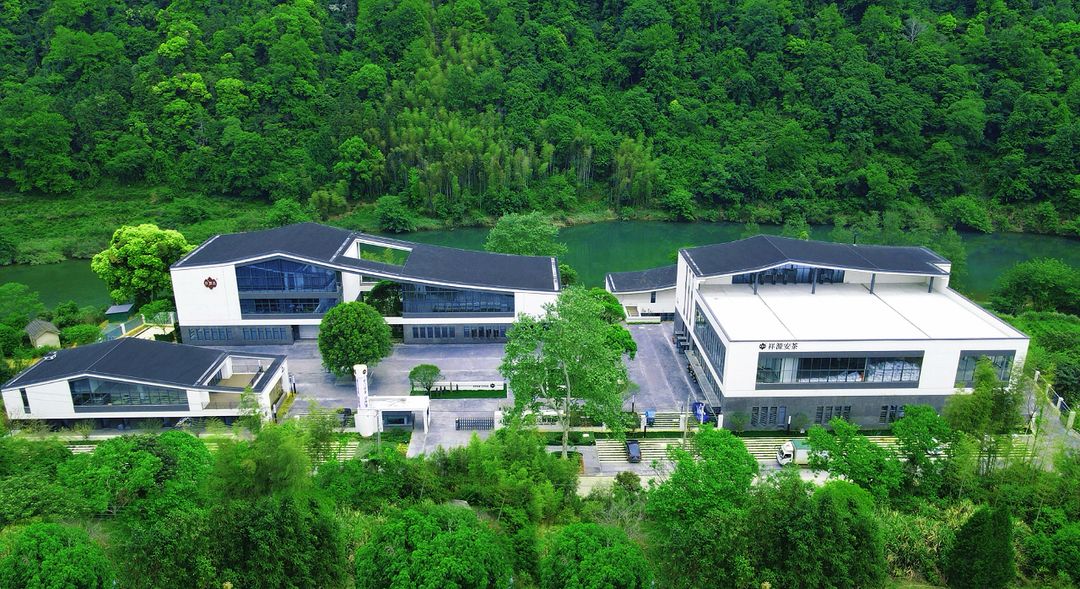 安茶时光里_结果