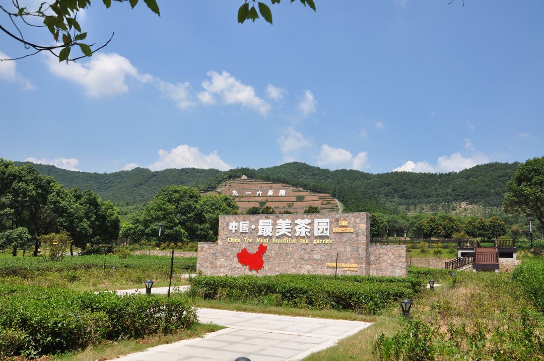 全国最美茶园_结果