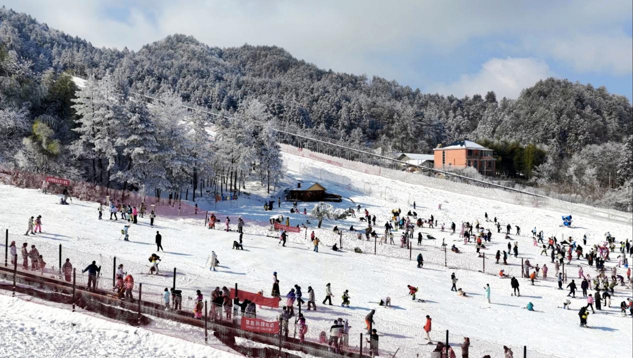 4b5d8da019da60deadaf134f188d701a