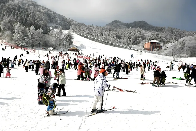 5d103e37e2198d0a5fe9f1e743d6a992