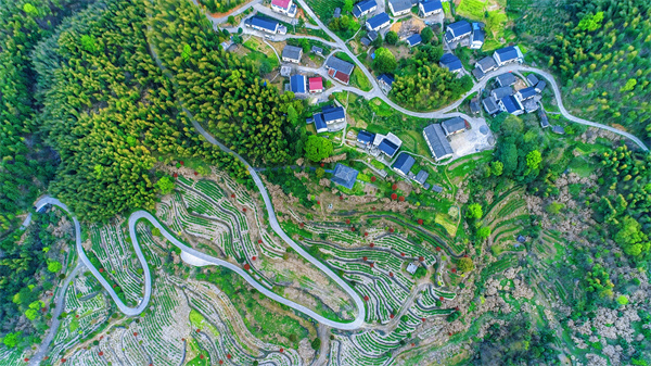 3-4-仙寓镇莲花村