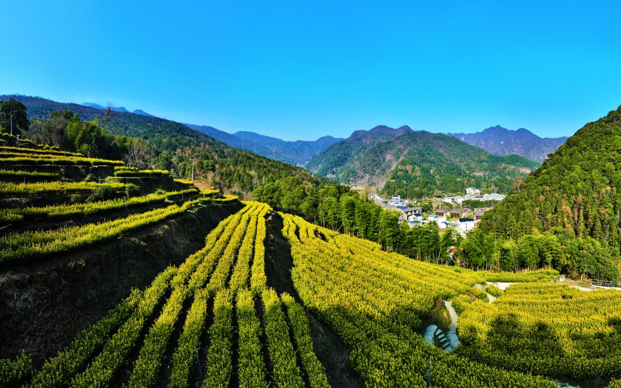 渠道：图片_日期：2024-03-14_DJI_0660_20240314135609A325