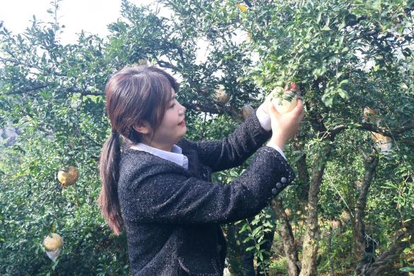 /private/var/folders/34/2bp9bhxj5hg7kpcf2b3sw_vm0000gn/T/com.kingsoft.wpsoffice.mac/picturecompress_20251117095246/output_1.jpgoutput_1