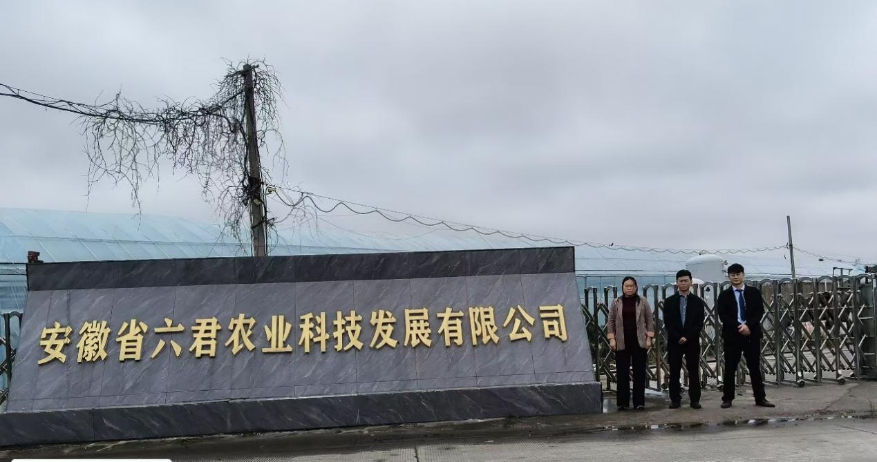 mmexport1764033997208