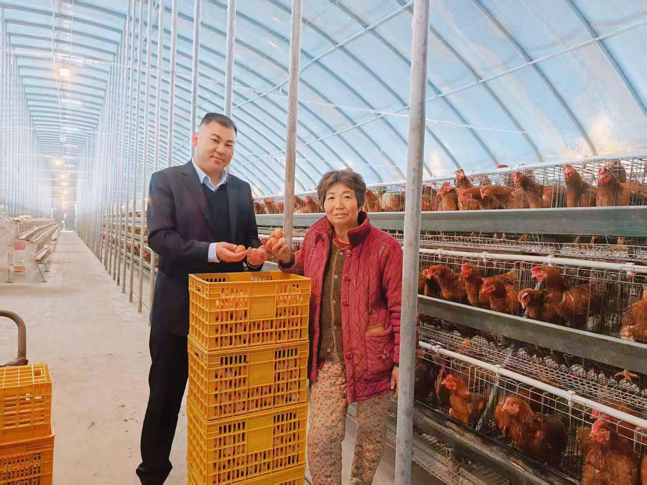 朱集 养鸡.png 朱集 养鸡.png