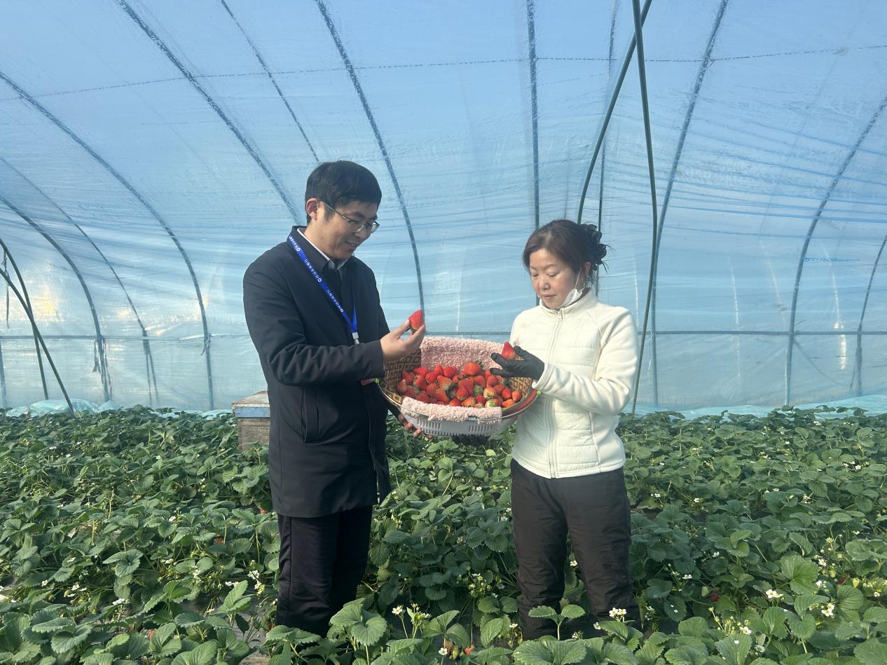 _cgi-bin_mmwebwx-bin_webwxgetmsgimg__&MsgID=174968625488435510&skey=@crypt_4bcd0d56_c036384a4bca464a0926b4bb11d1ac24&mmweb_appid=wx_webfilehelper