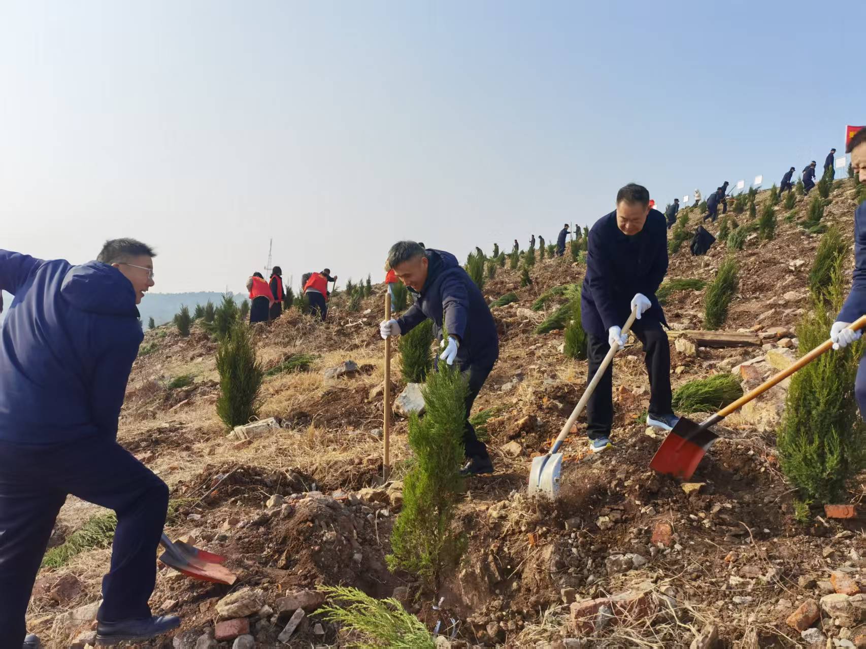 植树.jpg