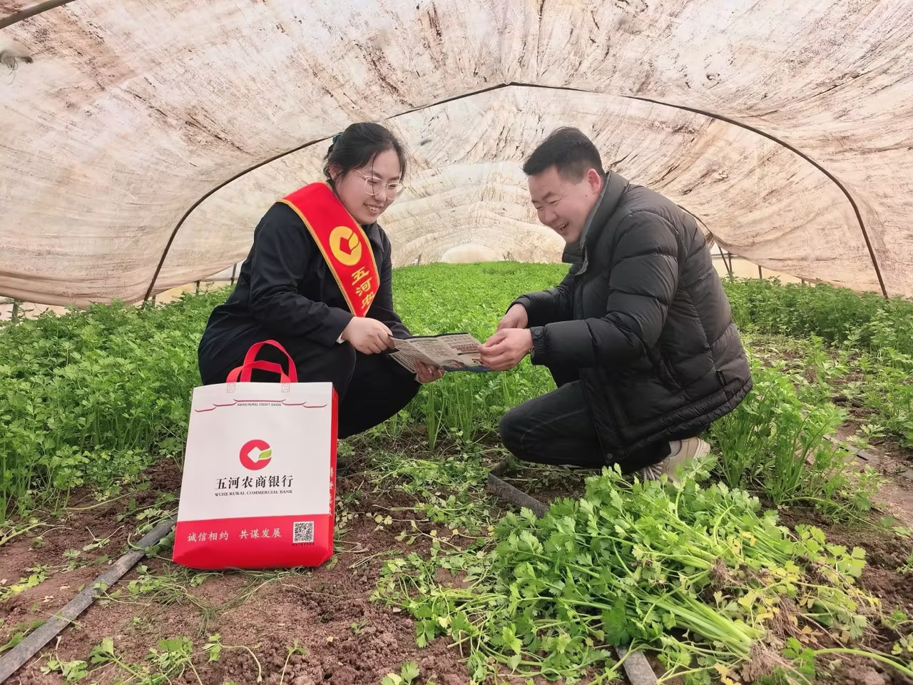 图片：深耕田间助春耕 筑牢金融安全线.jpg